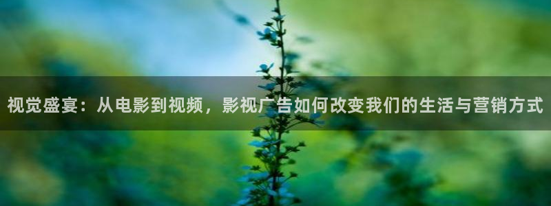 螞蟻影視黑螞蟻黃片：視覺盛宴：從電影到視頻，影視廣告如何改變我們的生活與營(yíng)銷方式